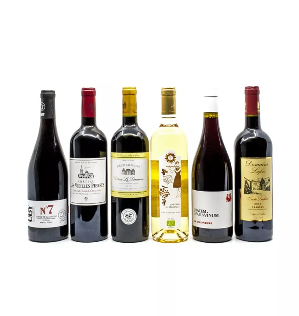 Wine Lover’s Delight: 6-Bottle Gift Set